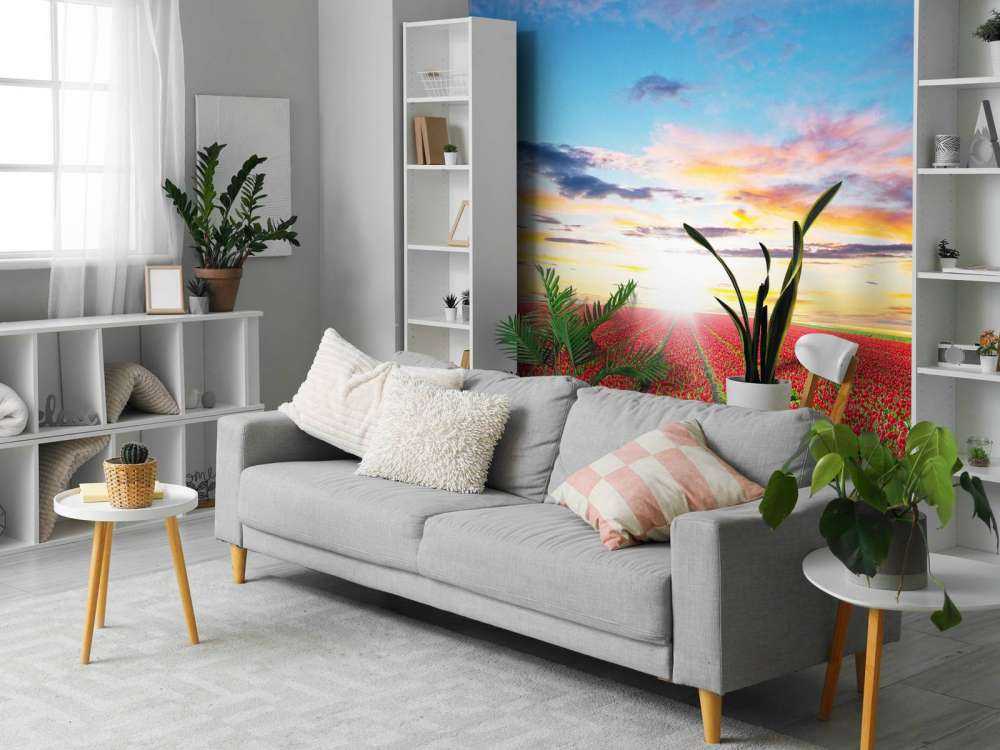 Rode tulpenveld bij zonsopkomst