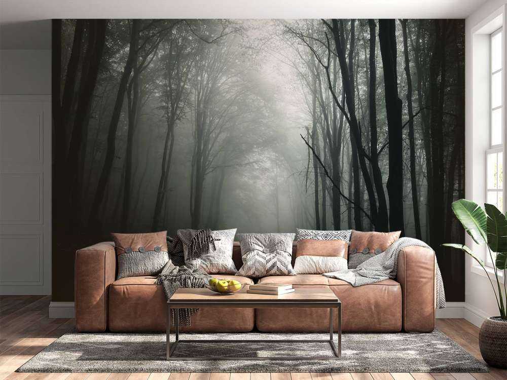 Mysterieuze Bos met Mist