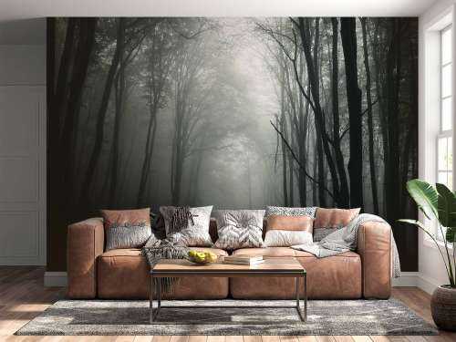 Mysterieuze Bos met Mist