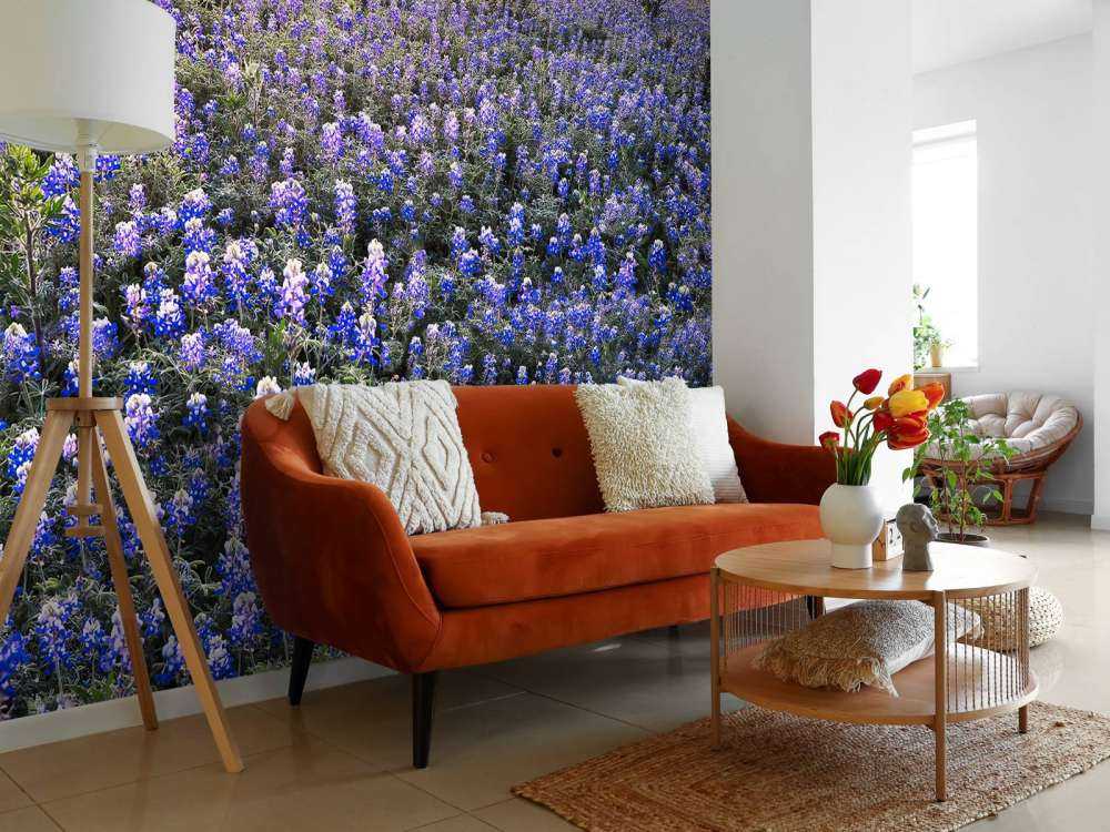 Hortensia veld in Texas