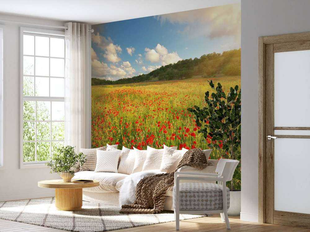 Klaprozen met Zonsondergang