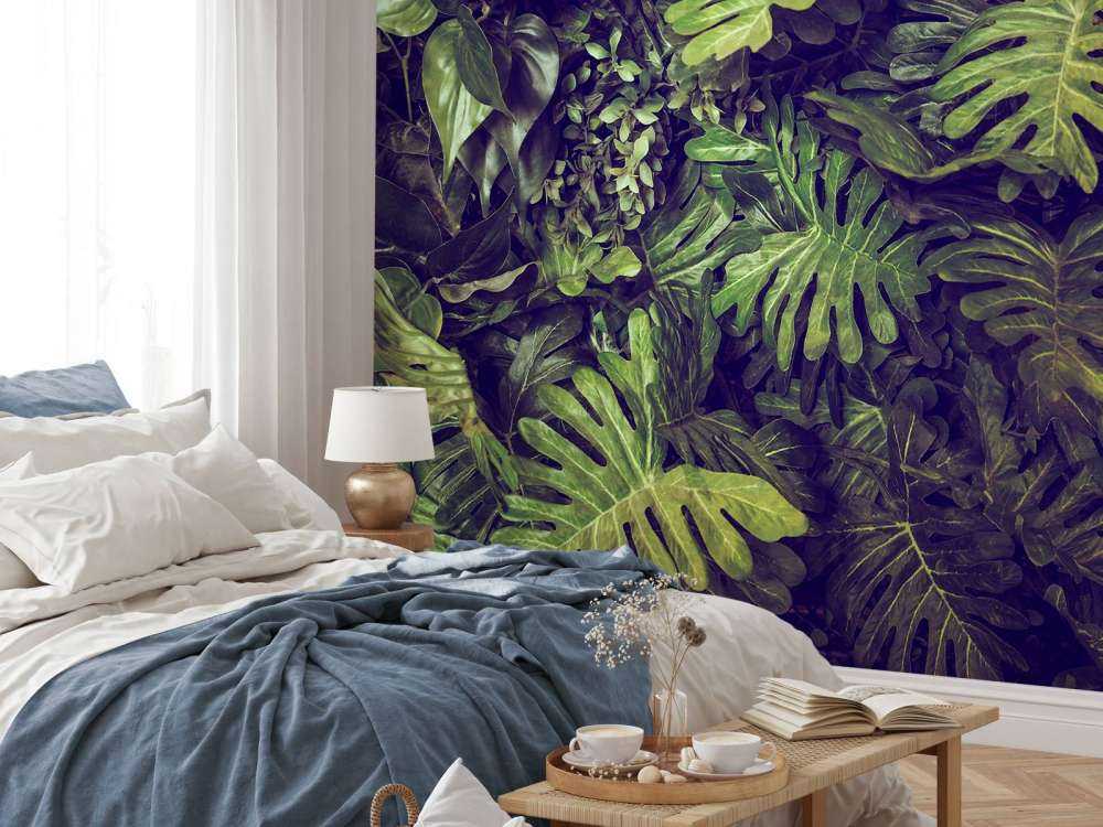 Groene Monstera Bladeren