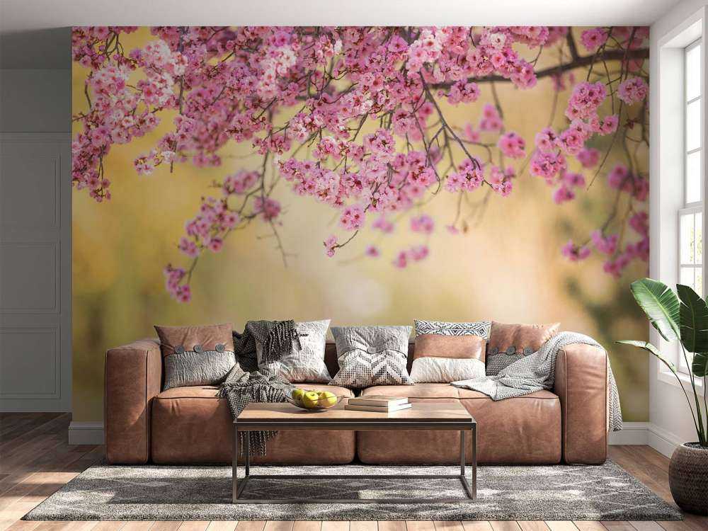 Bloesem met wazige achtergrond