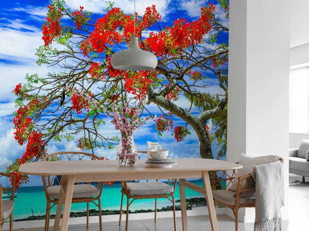 Rode flamboyant boom op het strand