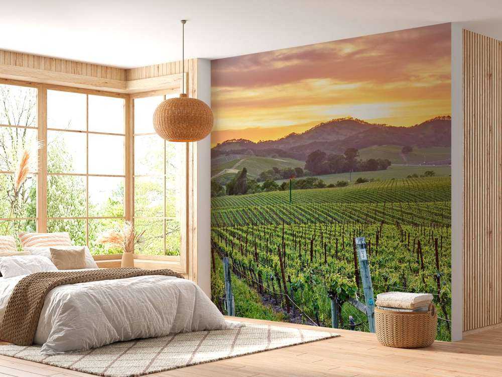 Wijngaard in Californië