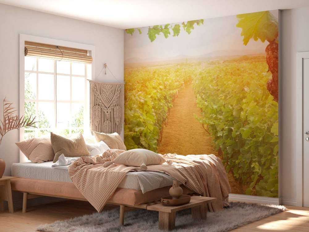 Wijngaard met druiven op de voorgrond