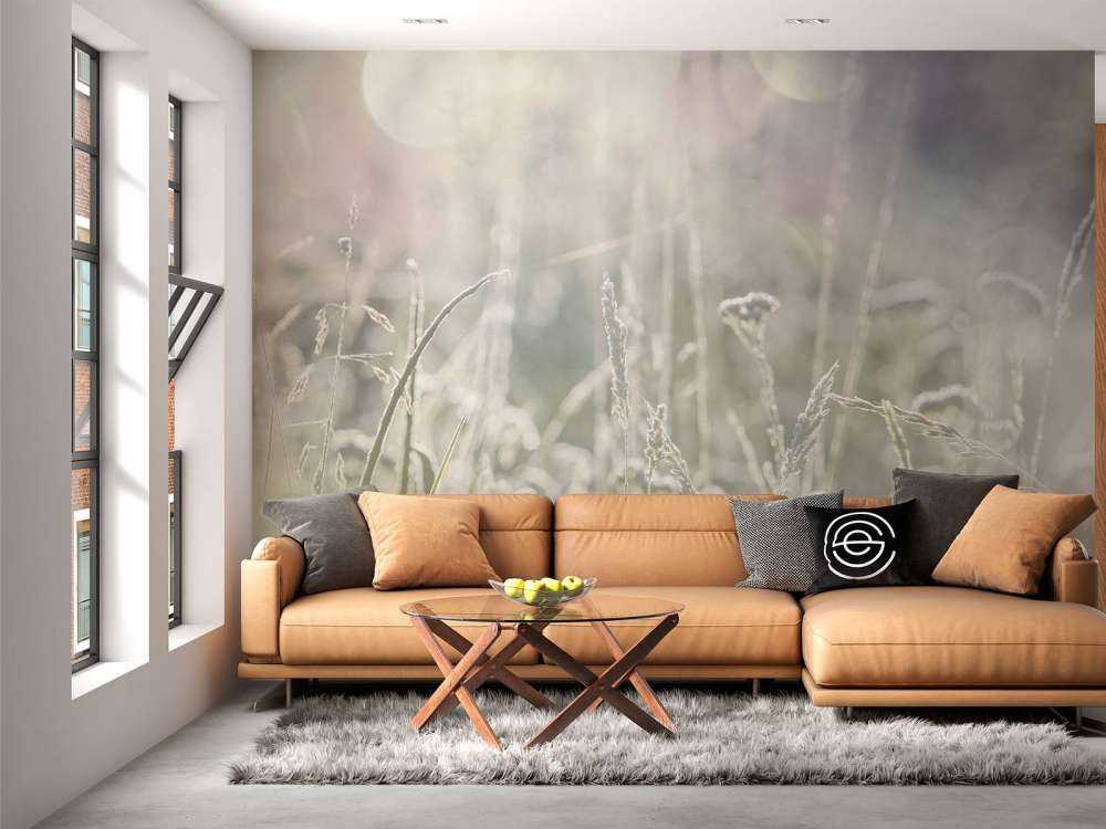 Weide planten in de zon met een wazige achtergrond