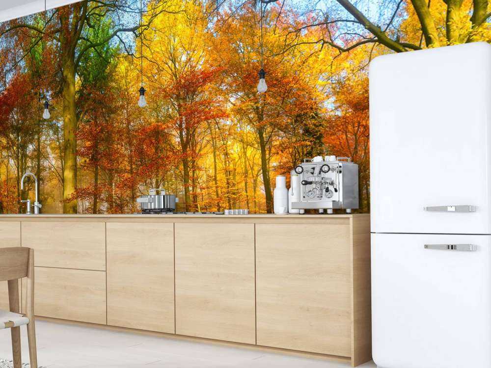 Kleurrijk bospanorama