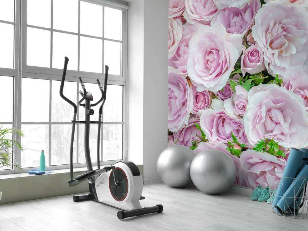 Kleurrijke witte en roze rozen