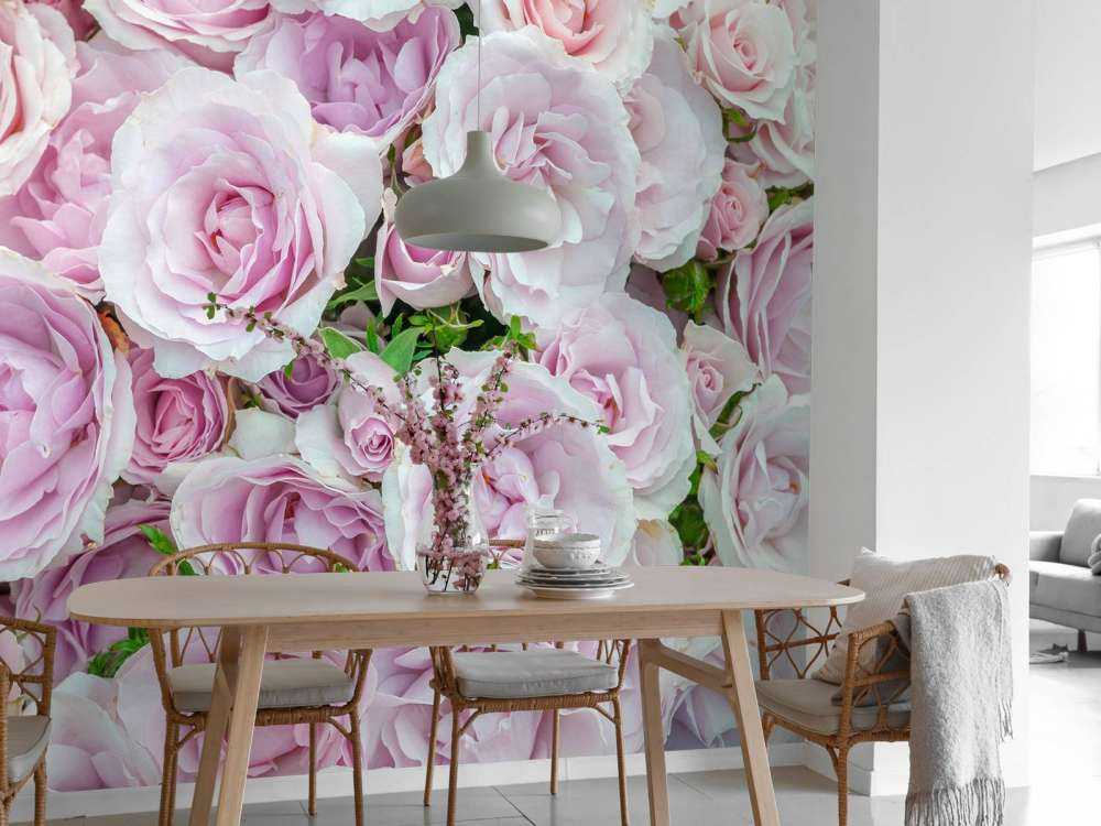 Kleurrijke witte en roze rozen