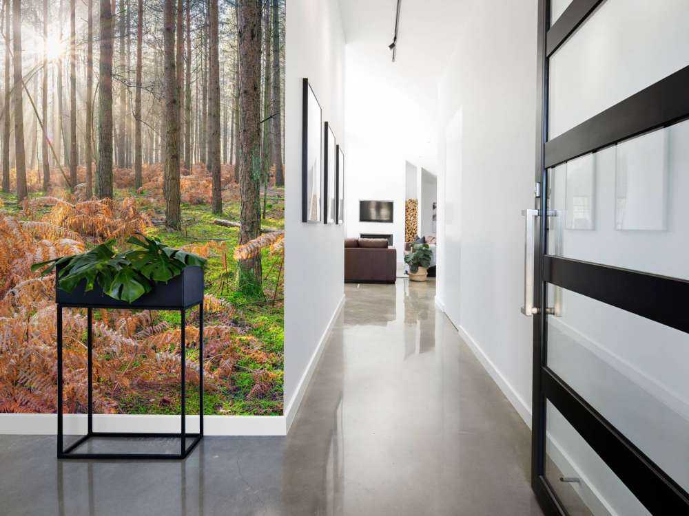 Bos tijdens de zonsopkomst