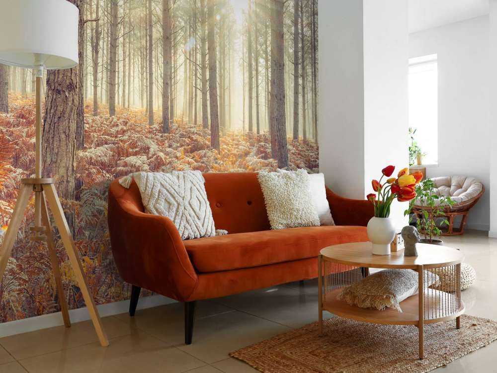 Zonnestralen door de koude bomen