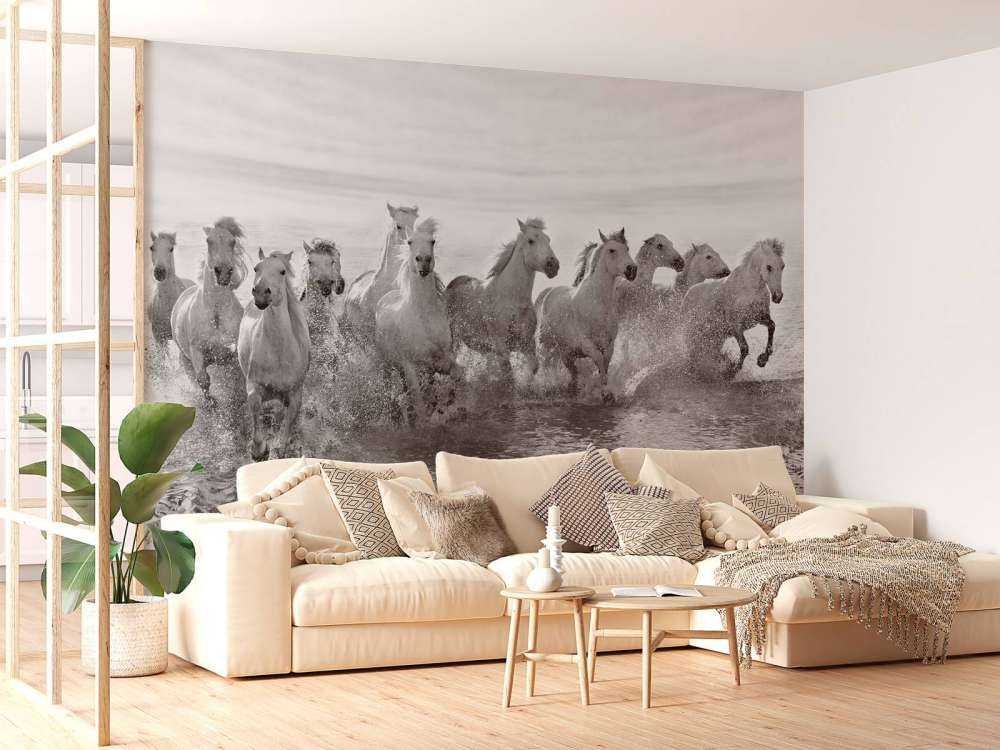 Illusion of power (13 horse power though)