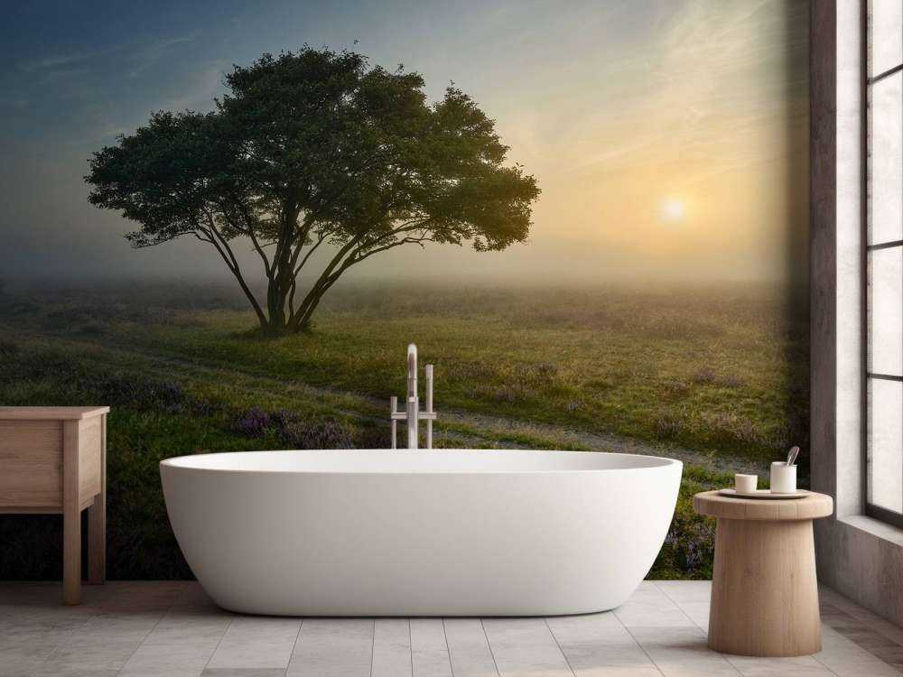 Zonsopkomst op de heide