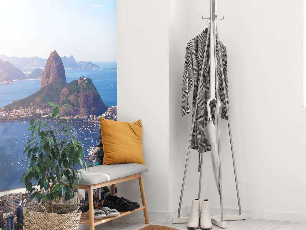 Rio de Janeiro landschap