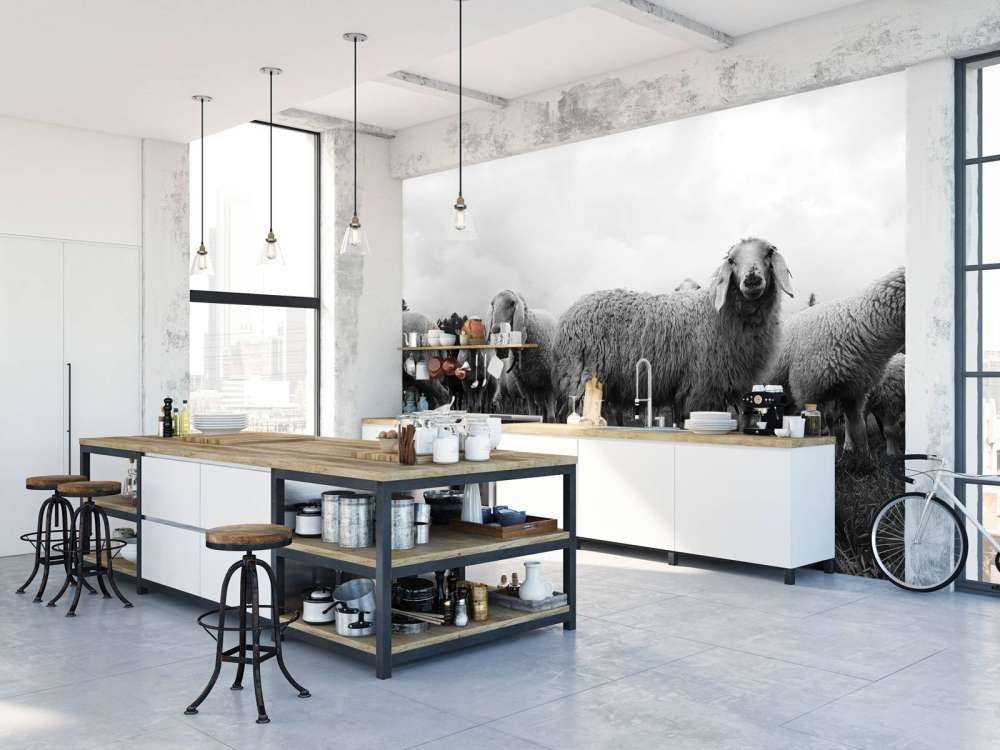 Kudde schapen in zwart-wit