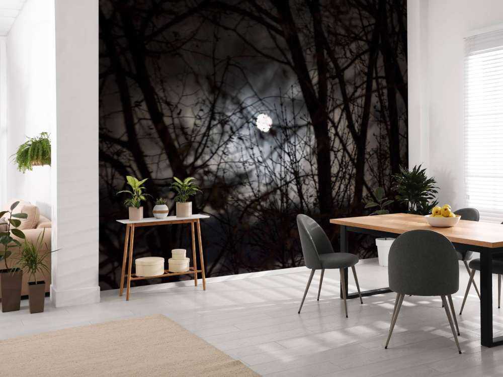 Volle maan vanuit het bos