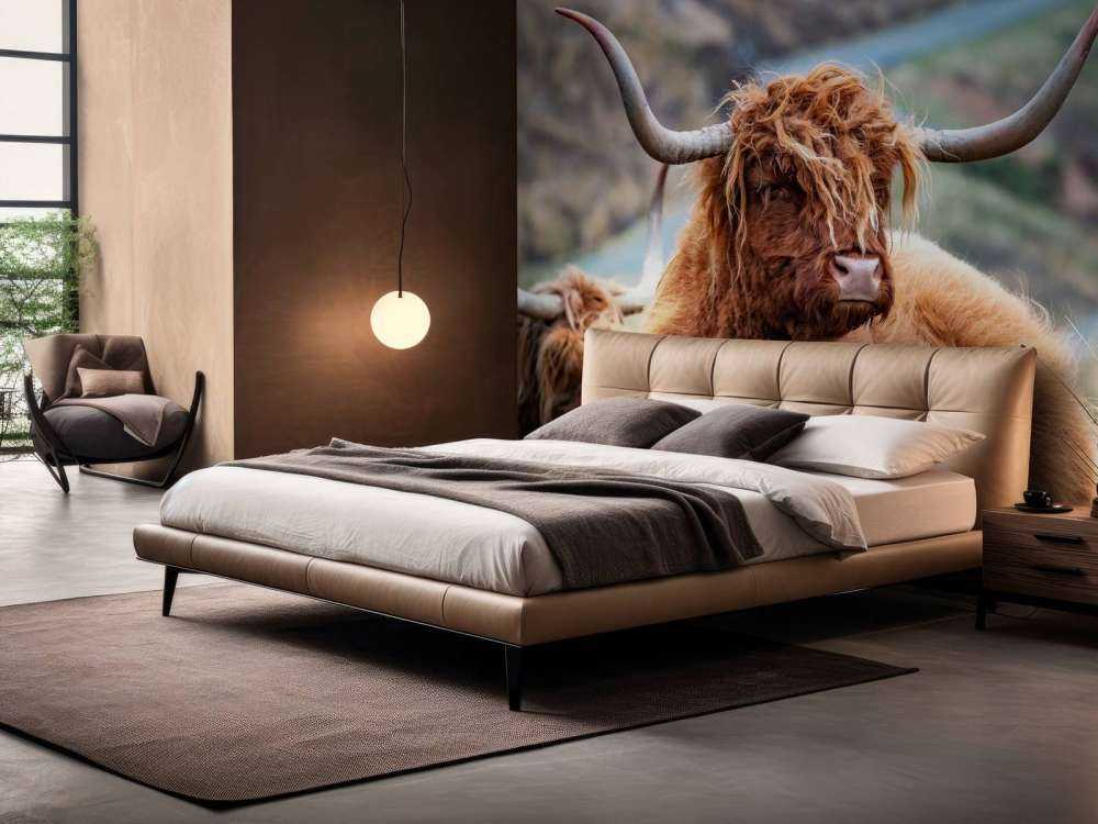 Schotse Hooglanders in het gras