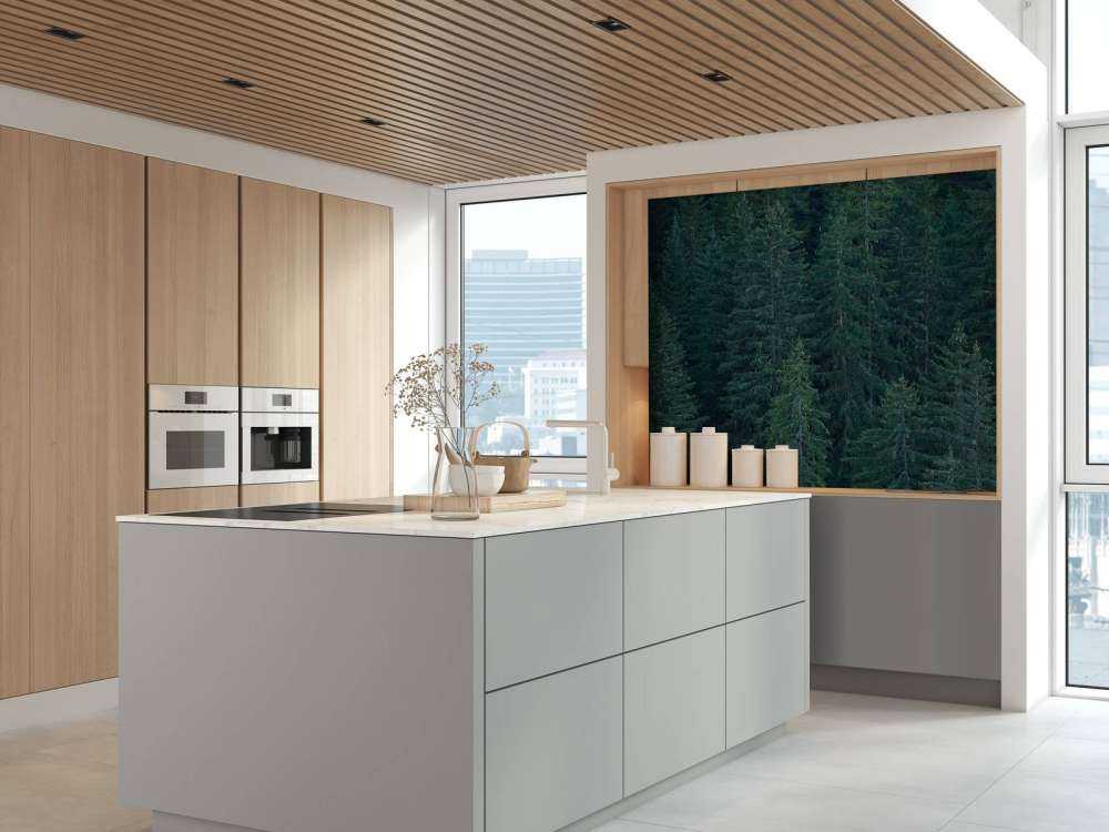 Naaldbomen met dennenappels