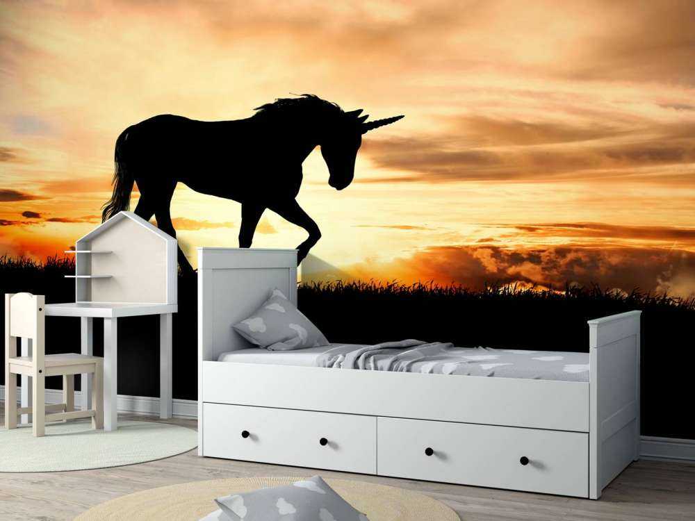 Unicorn silhouette bij zonsondergang