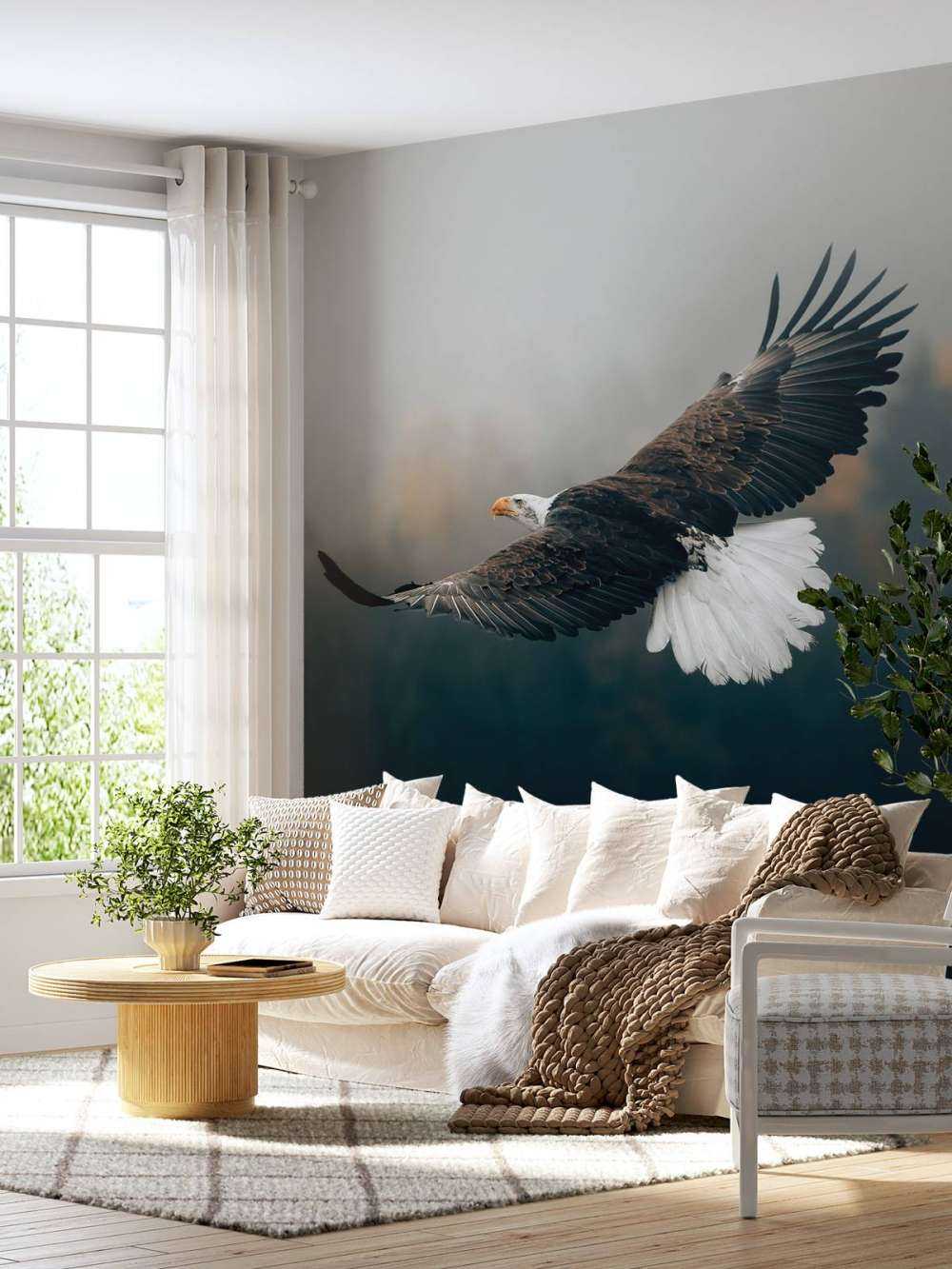 Zeearend boven het bos