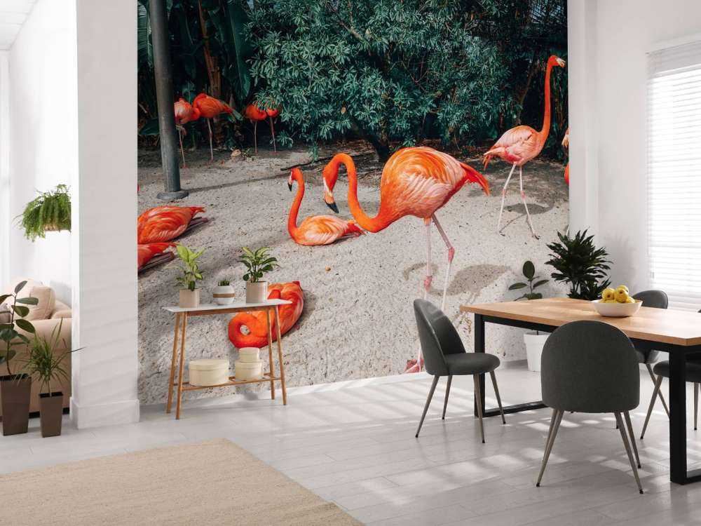 Flamingo's op een Caribisch eiland