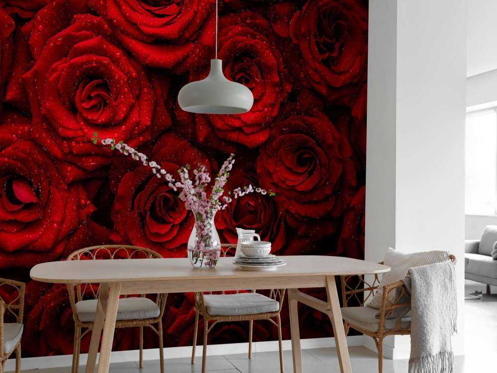 Rode rozen met druppels water erop