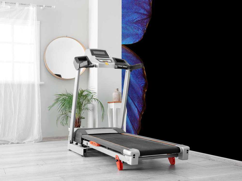 Twee vlinders met een zwarte achtergrond