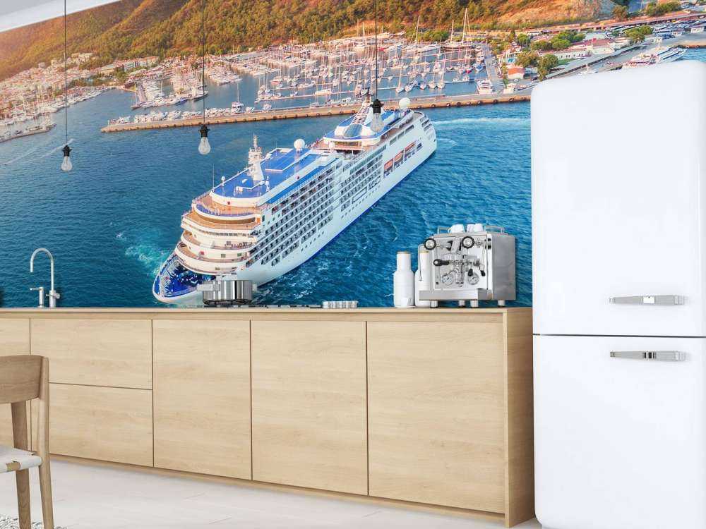 Cruiseschip in de haven