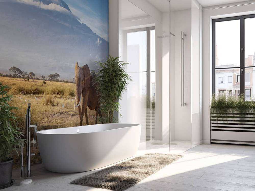 Afrikaanse olifant in een grasland