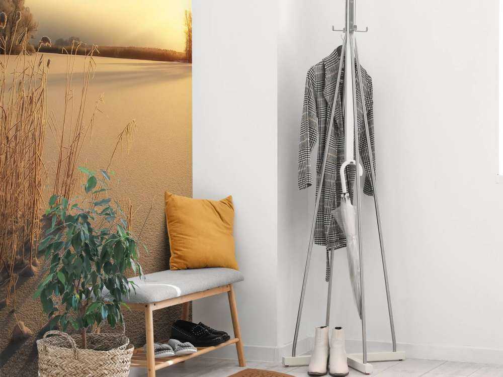 Riet op het strand bij zonsondergang