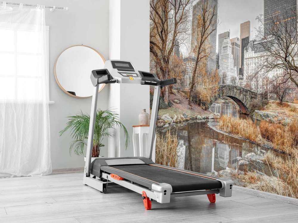 Central park in de winter