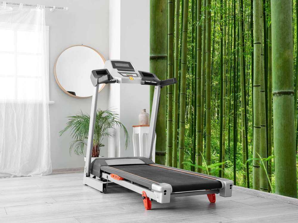 Midden in het bamboebos