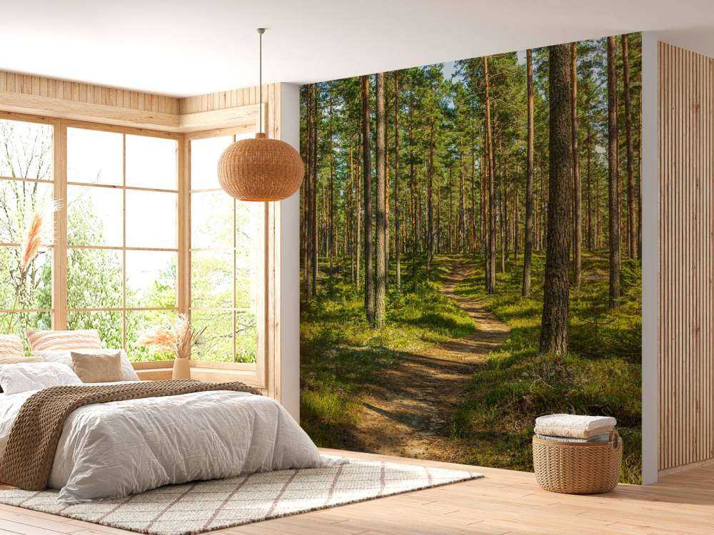 Wandelpad in dennenbos