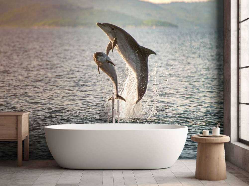 Twee springende dolfijnen