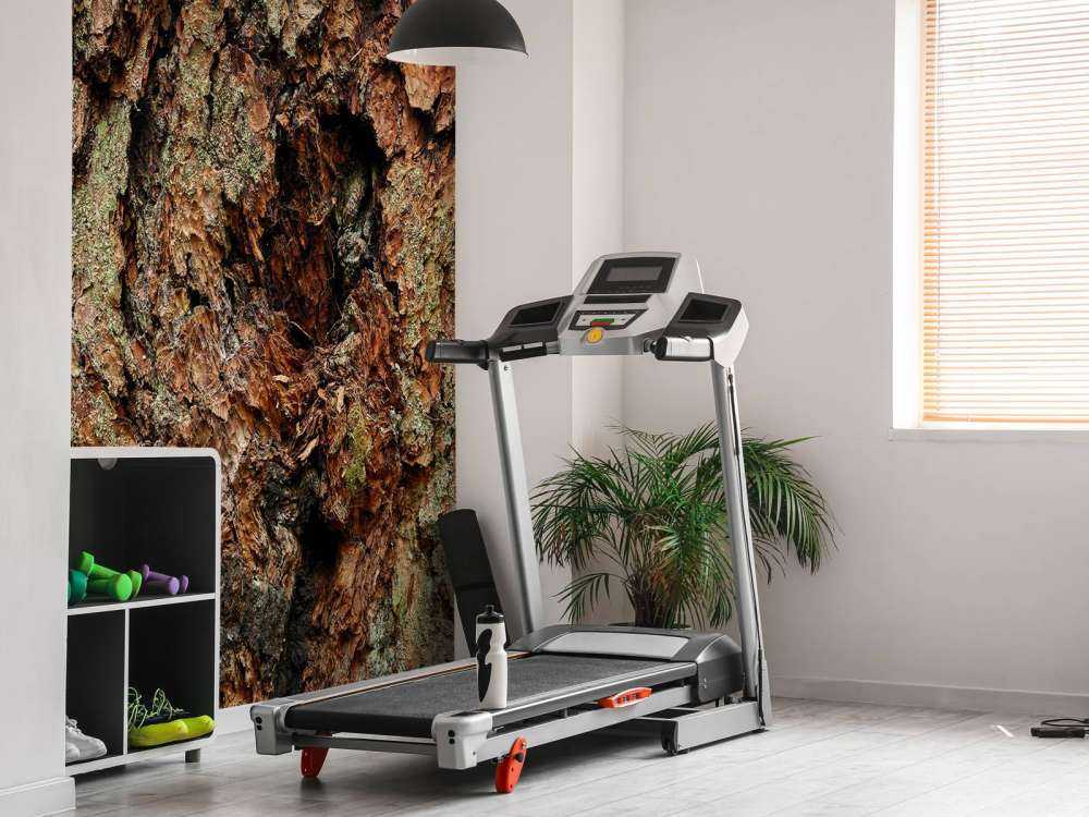 Boomschors oude boom