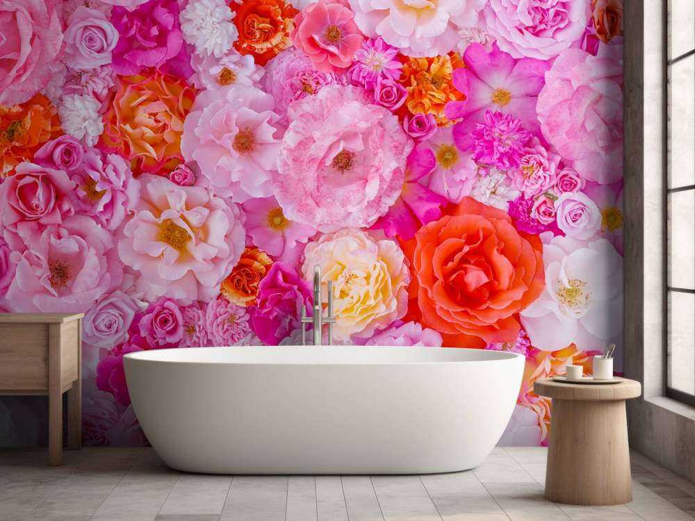 Full frame of variety of garden roses, flower background