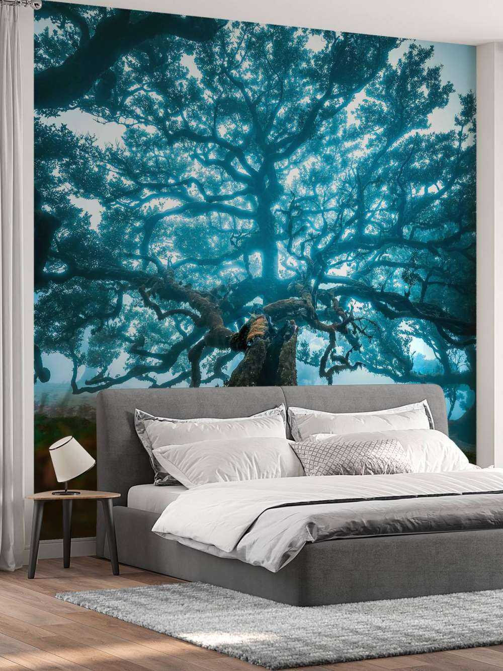 Oude eik in nevelwoud