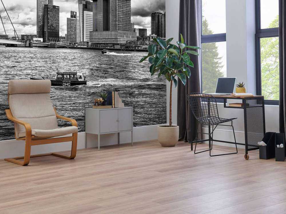 Erasmusbrug en Skyline in Monochroom