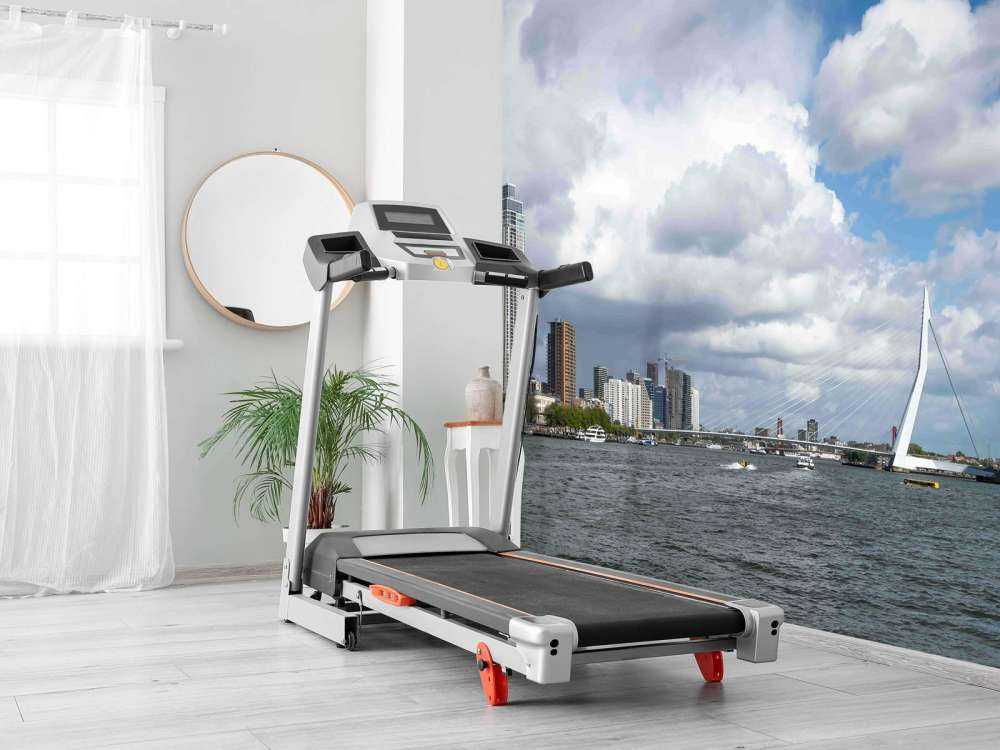 Stadszicht met Erasmusbrug