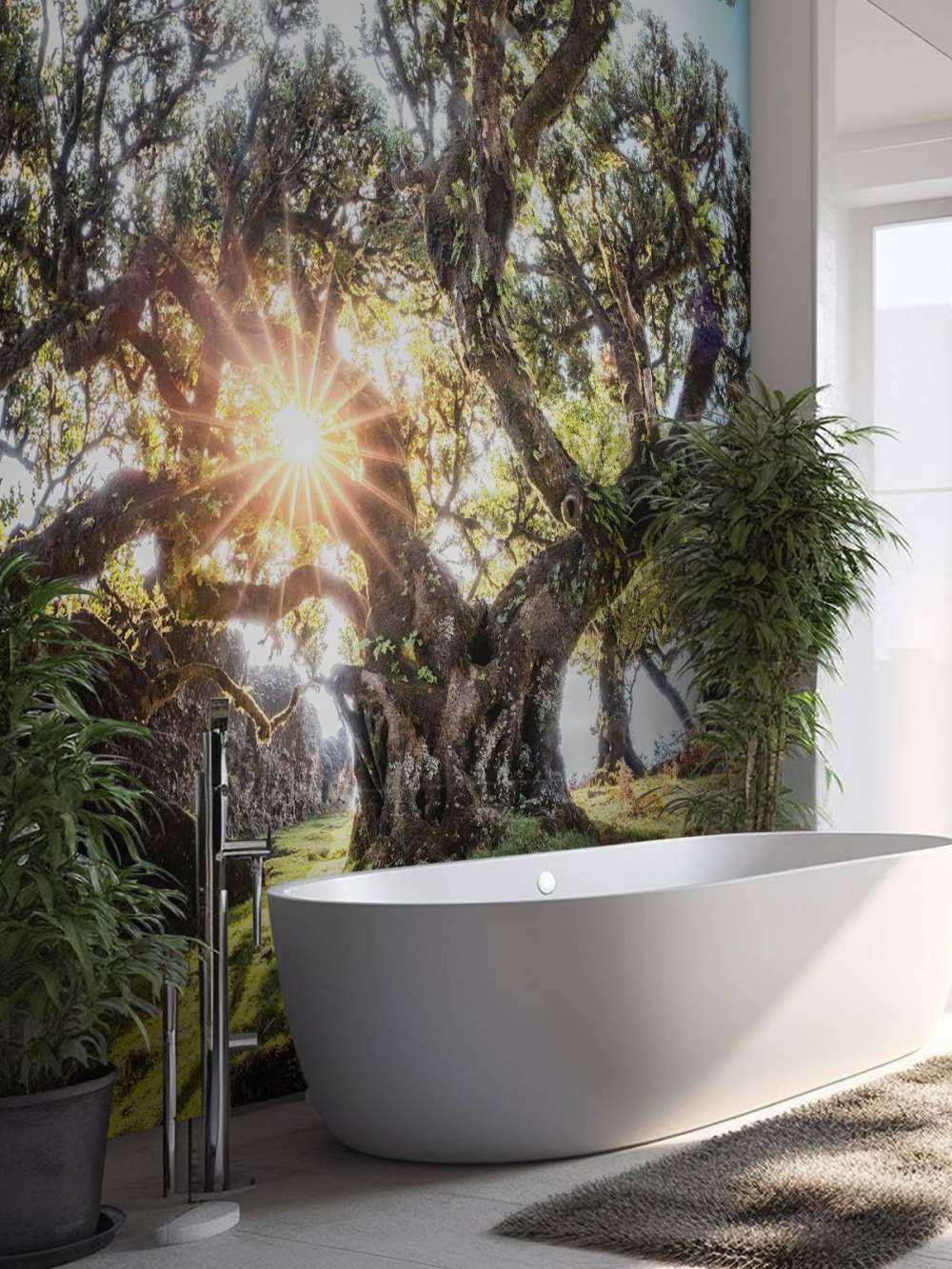 Zonlicht door oeroude boomkronen