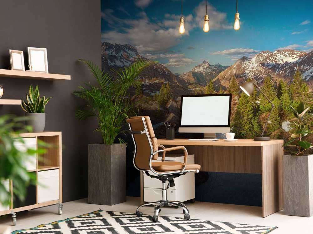 Lentezon over besneeuwd bergwoud