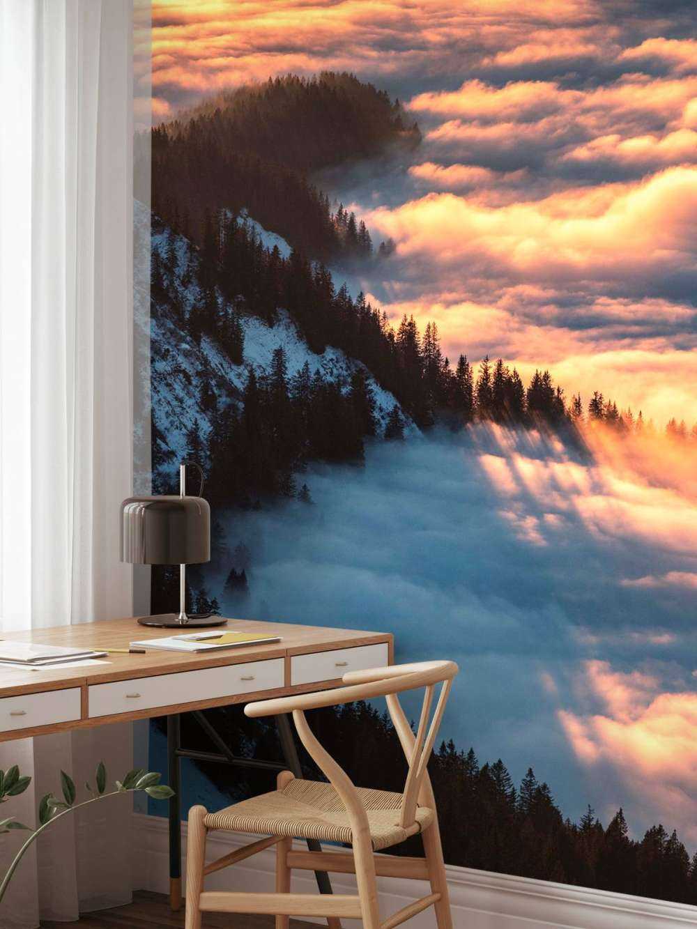 Ochtendgloed over nevelig bergbos