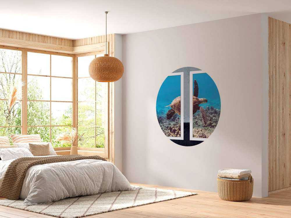 Zeeschildpad boven koraalrif