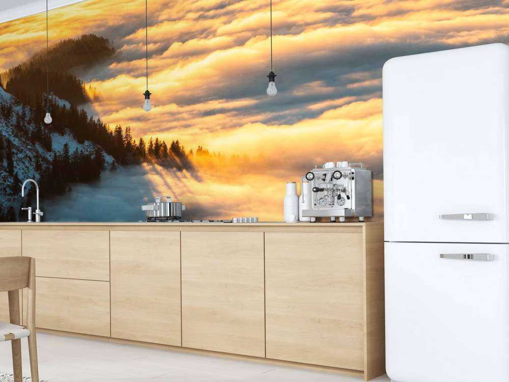 Zonlicht over besneeuwd bergwoud