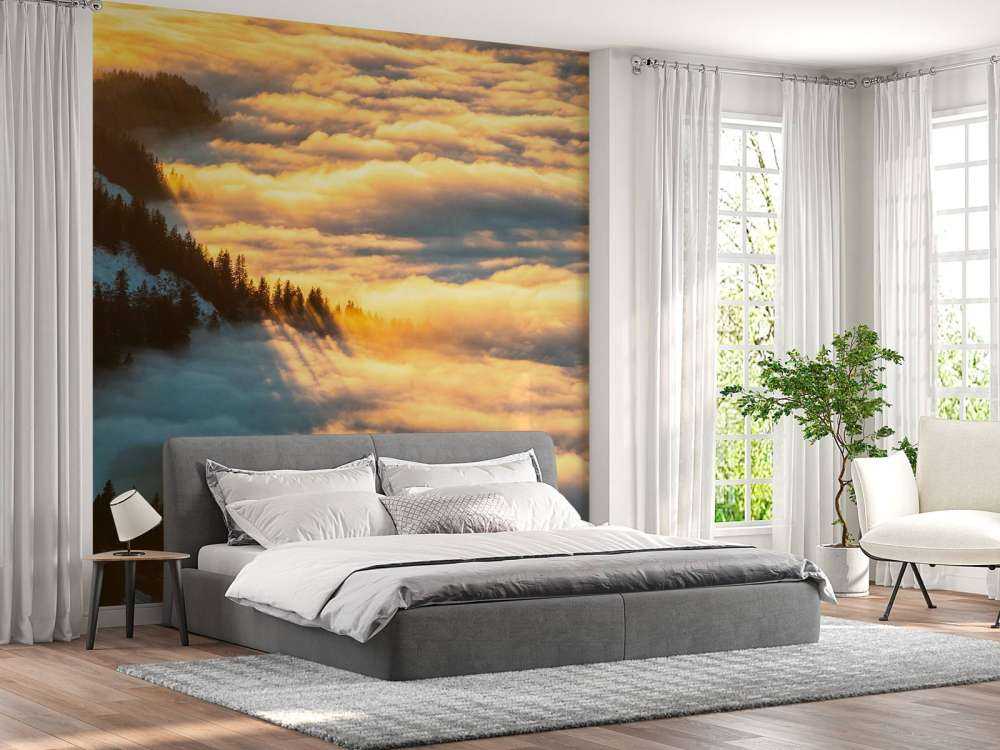 Zonlicht over besneeuwd bergwoud