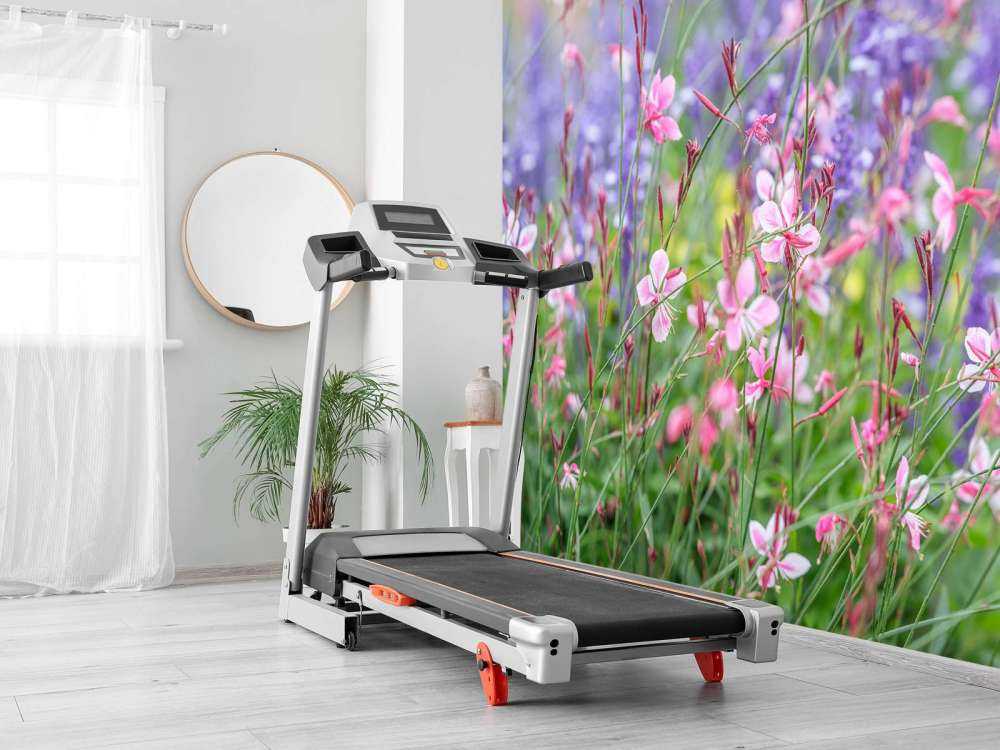 Yellow meadow flowers