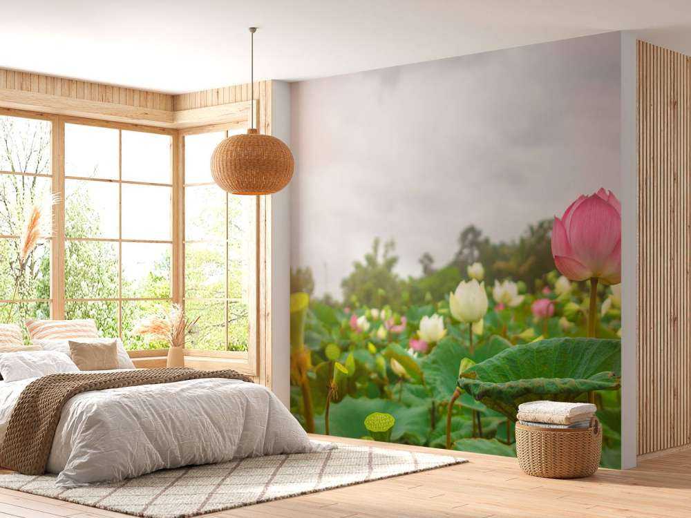 Roze en witte lotusbloemen