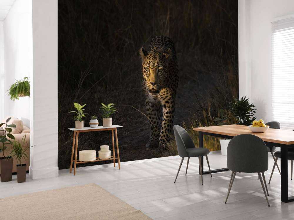 Luipaard met zonsondergang