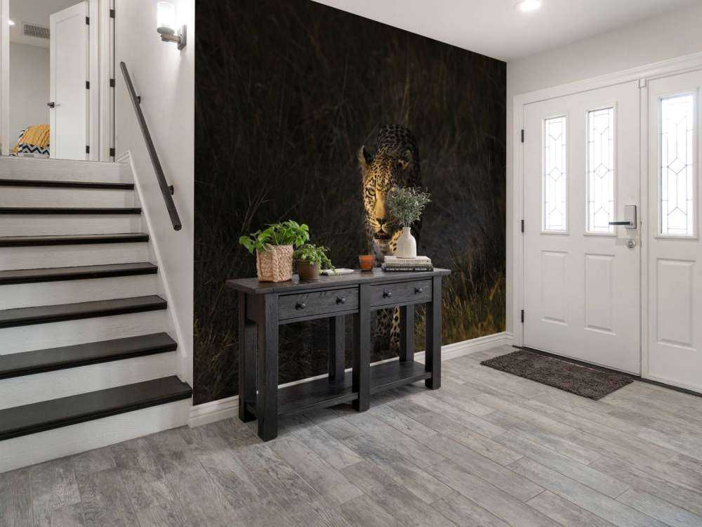 Luipaard met zonsondergang